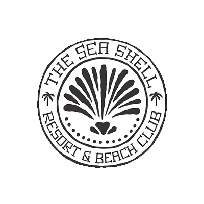 the-sea-shell